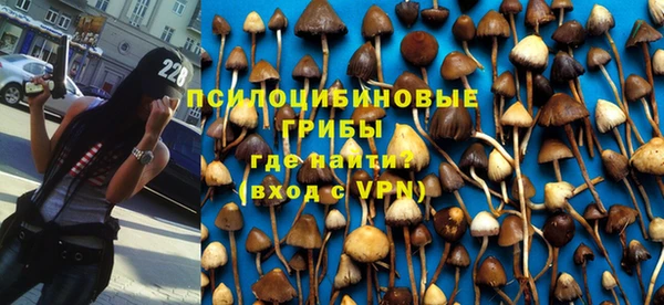 наркотики Новодвинск