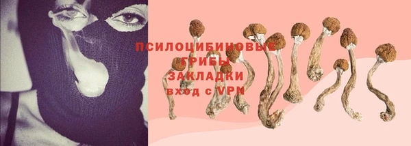гидропоника Алексин