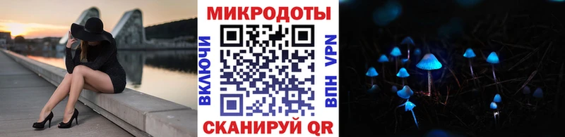 Псилоцибиновые грибы Psilocybine cubensis  Кинель 