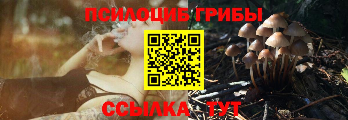 Галлюциногенные грибы прущие грибы Кинель